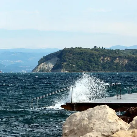 Floating House Adela *