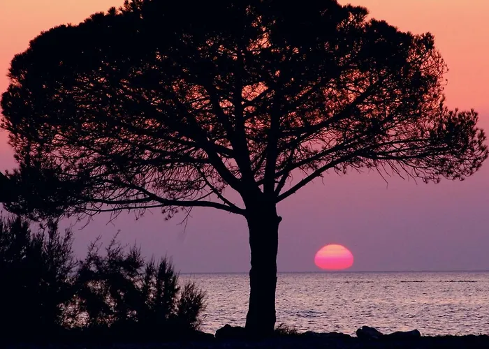 Floating House Adela Casa de Férias