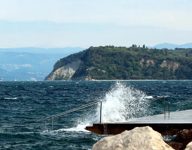 Floating House Adela *